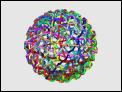Click on one of the size names above to enlarge this image Click on one of the size names above to enlarge this image